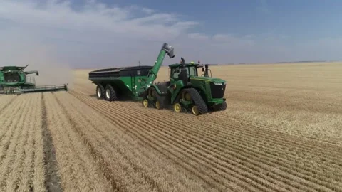 Wheat harvesting Tractor Cultivation Land Agriculture Farming Stock Footage