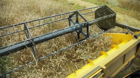Wheat Harvest.mp4 Stock Footage 44212514