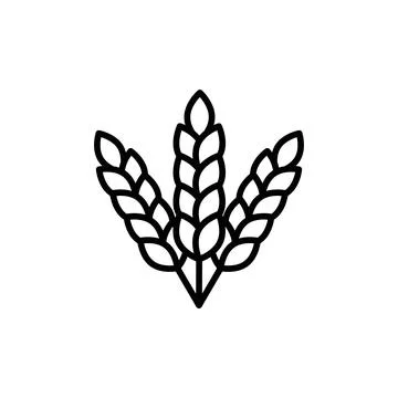 Wheat Icon Set Grain Illustrations for Agriculture and Food Projects Stock Illustration