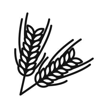 Wheat Icon Set Grain Illustrations for Agriculture and Food Projects Stock Illustration