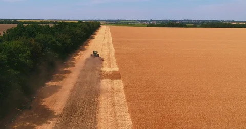 A wheat ield by which a tractor is ploughing soil Stock Footage 109306101