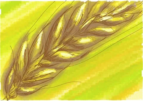 Wheat Stock Illustration
