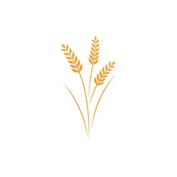 Wheat illustration design Stock-Illustration