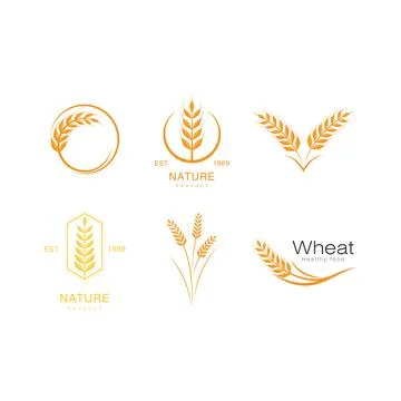Wheat illustration design Иллюстрация