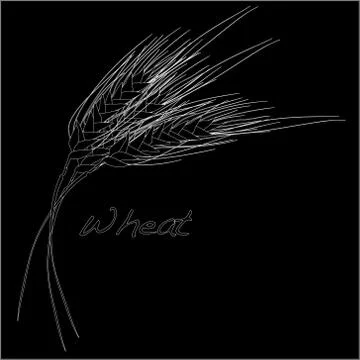 Wheat illustration Stock Illustration