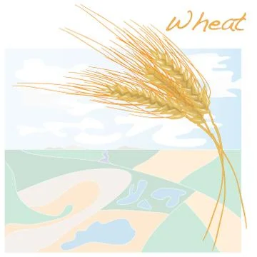 Wheat illustration Stock Illustration