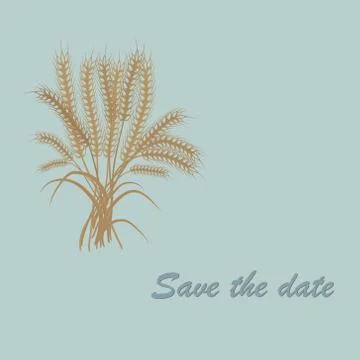Wheat invitation template Stock Illustration