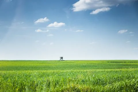 Wheat lands Stock Photos