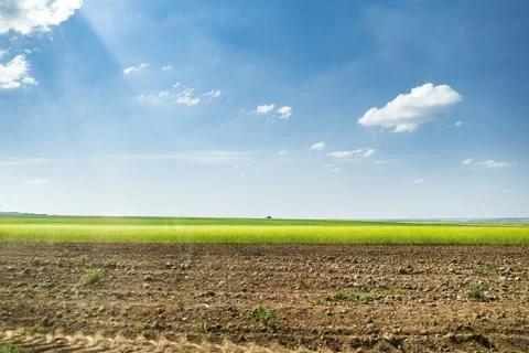 Wheat lands Stock Photos