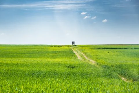 Wheat lands Stock Photos