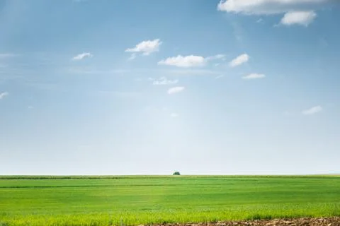 Wheat lands Stock Photos