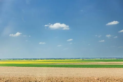 Wheat lands Stock Photos