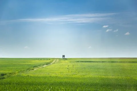 Wheat lands Stock Photos