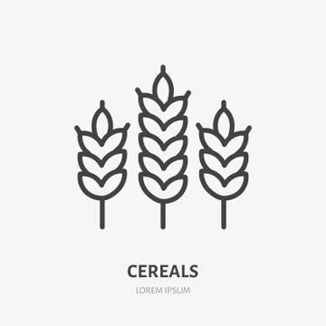 Wheat line icon, vector pictogram of cereals. Organic grain illustration, sign Stock Illustration