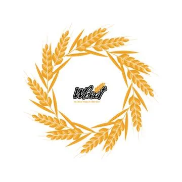 Wheat logo design with circle or round shape geometrical style. Flat design Stock Illustration