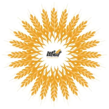 Wheat logo design with circle or round shape geometrical style. Flat design Stock Illustration