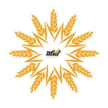 Wheat logo design with circle or round shape geometrical style. Flat design Stock Illustration