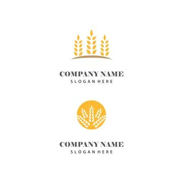 Wheat Logo Template vector symbol Illustrazione stock