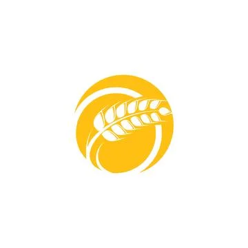 Wheat Logo Template vector symbol Illustration