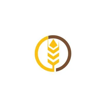 Wheat Logo Template vector symbol Illustration