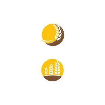Wheat Logo Template vector symbol Иллюстрация