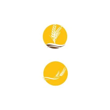 Wheat Logo Template vector symbol Illustration