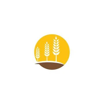 Wheat Logo Template vector symbol Иллюстрация