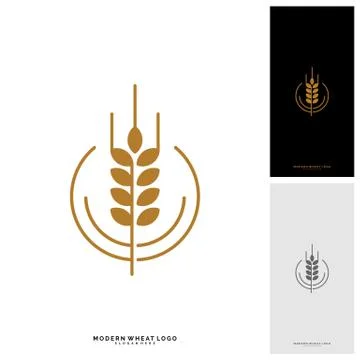 Wheat Luxury Grain and bread labels. Nature wheat. Agriculture wheat Logo Tem Stock Illustration