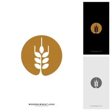Wheat Luxury Grain and bread labels. Nature wheat. Agriculture wheat Logo Tem Stock Illustration