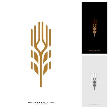 Wheat Luxury Grain and bread labels. Nature wheat. Agriculture wheat Logo Tem Stock Illustration