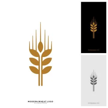 Wheat Luxury Grain and bread labels. Nature wheat. Agriculture wheat Logo Tem Stock Illustration