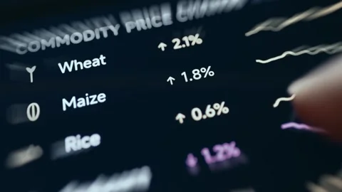 Wheat Maize and Rice Commodity Price Changes Stock Footage 339405251