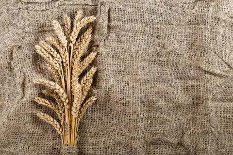Wheat on old grey rustic textile background Stock Photos