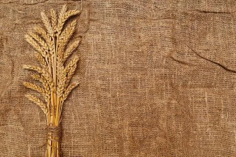 Wheat on old grey rustic textile background Stock Photos