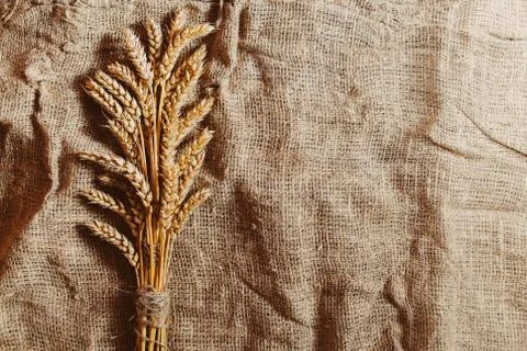 Wheat on old grey rustic textile background Stock Photos