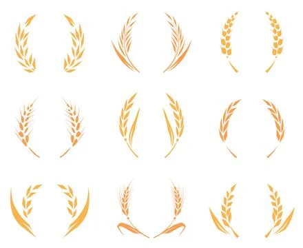 Wheat or barley ears. Harvest wheat grain, growth rice stalk and whole bread Stock Illustration