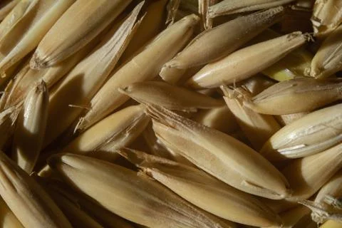 Wheat pattern food close up top view close up Stock Photos
