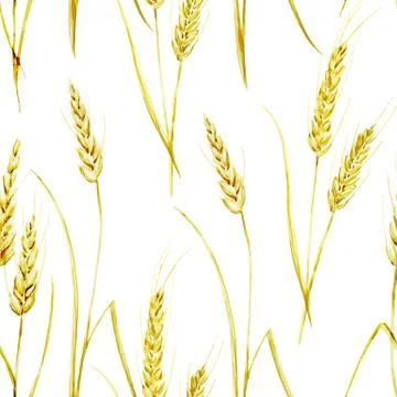 Wheat pattern Stock Illustration