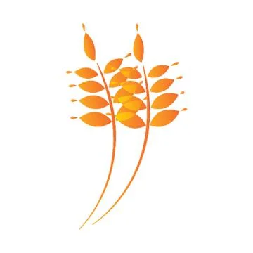 Wheat Pattern Stock Illustration