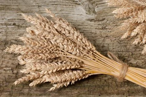 Wheat Stock Photos