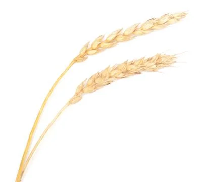 Wheat Stock Photos