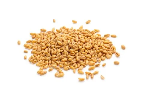 Wheat. Stock Photos