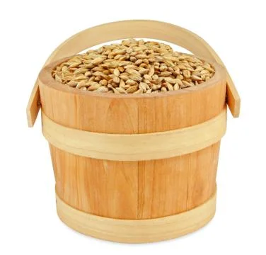 Wheat Stock Photos
