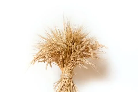 Wheat Stock Photos