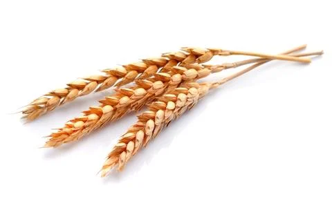Wheat Stock Photos