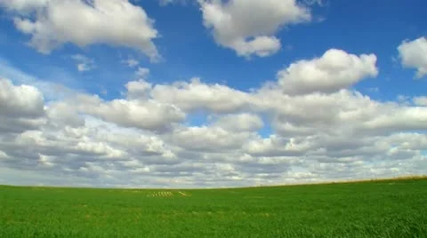 Wheat plane field crop and shiny cloud 10 Stock Footage 10897099