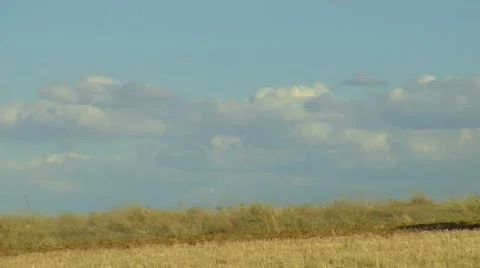 Wheat plane field crop and shiny cloud 15 Stock Footage 10897211