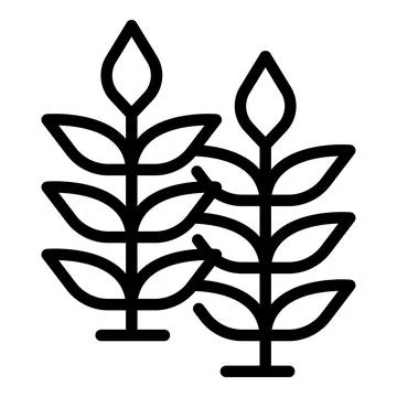 Wheat plant icon outline vector. Barley grain Stock Illustration