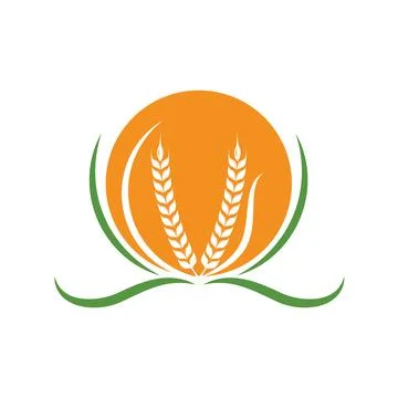 Wheat plant icon vector design illustration Illustrazione stock