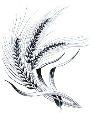 Wheat plant Stock Illustration